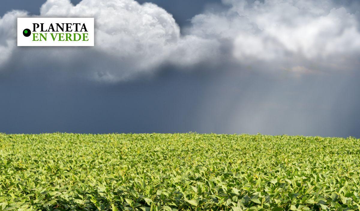 La Siembra De Nubes Es Efectiva Ante Las Sequ As Planeta En Verde