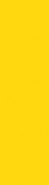 08 2023 Campa&ntilde;a Influencers