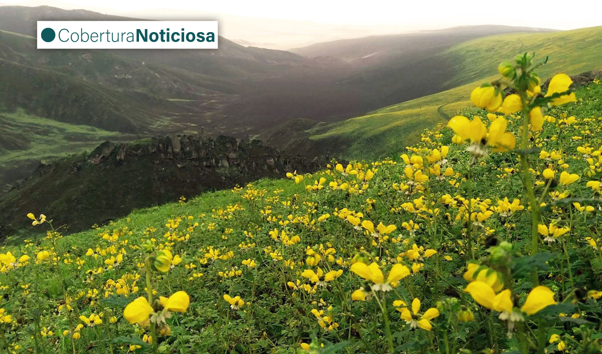 Lima: instalan mesa de trabajo multisectorial para proteger lomas costeras Lima: instalan mesa de trabajo multisectorial para proteger lomas costeras