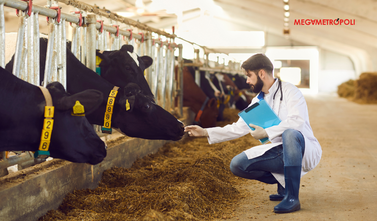 MSD Animal Health participó en el Latin American Veterinary Conference promoviendo la salud y el bienestar animal MSD Animal Health participó en el Latin American Veterinary Conference promoviendo la salud y el bienestar animal
