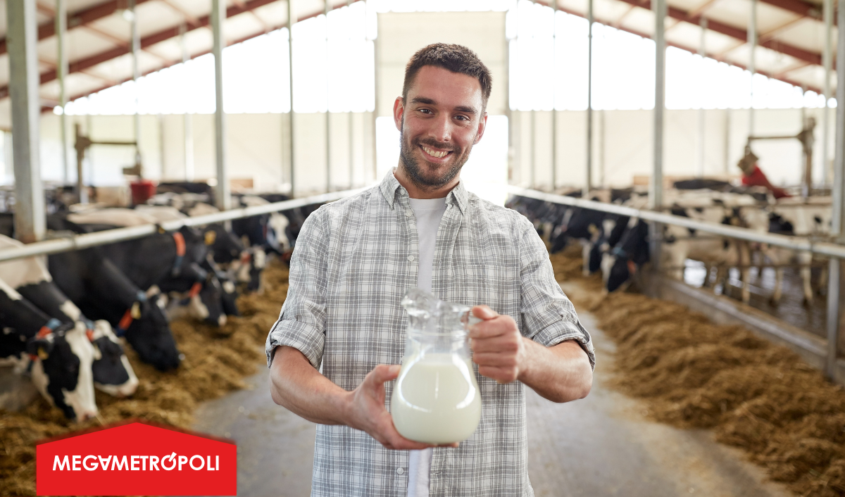 Día Mundial de la Leche: Senasa registró más de 4 mil establos lecheros en el país Día Mundial de la Leche: Senasa registró más de 4 mil establos lecheros en el país