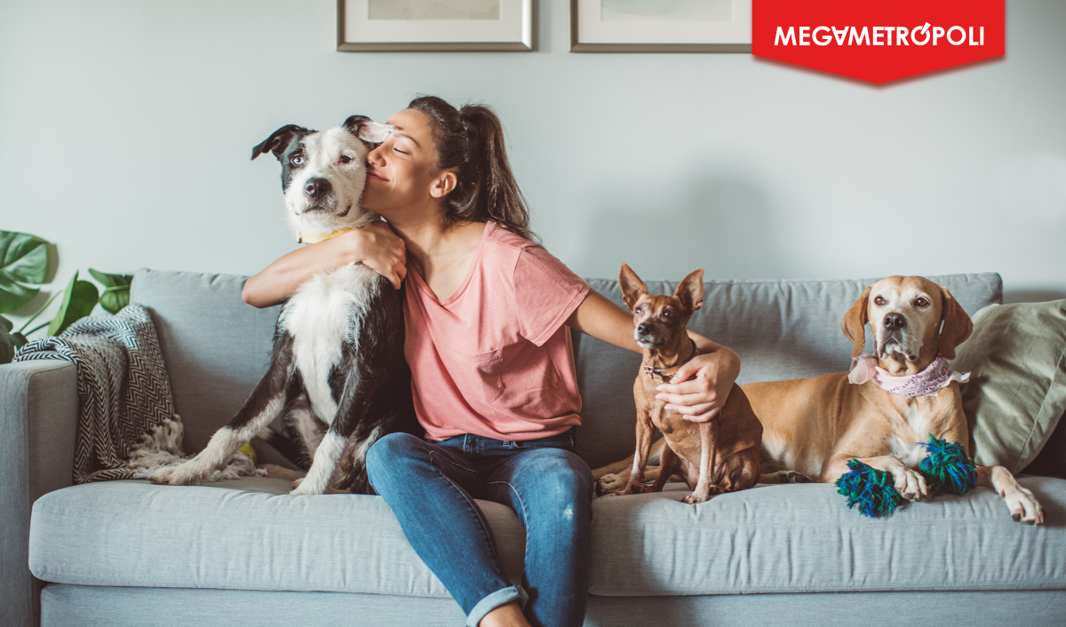 D&iacute;a Mundial de la Zoonosis: tres valiosos consejos para cuidar la salud