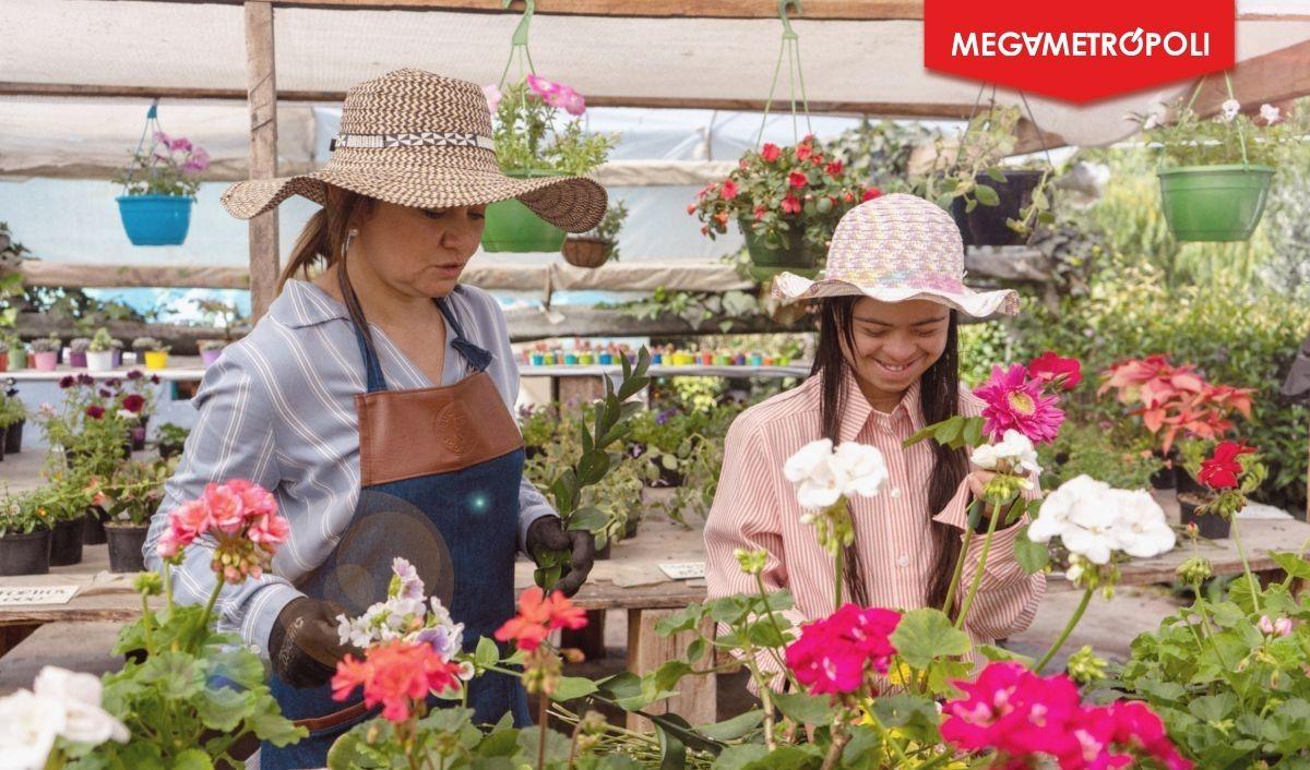 ¡Solo por dos días! Feria inclusiva congregará a más de 25 emprendedores con discapacidad con innovadoras ideas de negocio ¡Solo por dos días! Feria inclusiva congregará a más de 25 emprendedores con discapacidad con innovadoras ideas de negocio