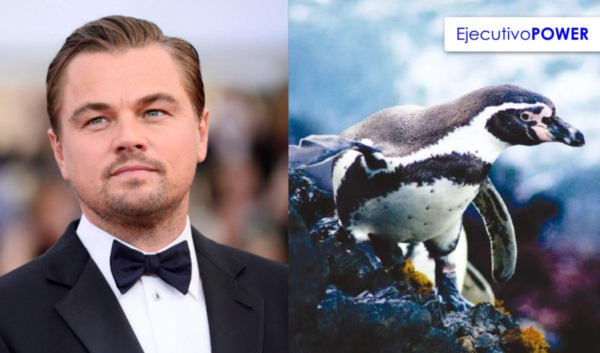 Leonardo DiCaprio celebra la creación de una reserva marina en Perú para proteger su riqueza biológica Leonardo DiCaprio celebra la creación de una reserva marina en Perú para proteger su riqueza biológica