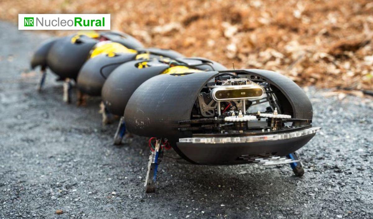 La robótica agrícola avanza con diseño tipo ciempiés La robótica agrícola avanza con diseño tipo ciempiés