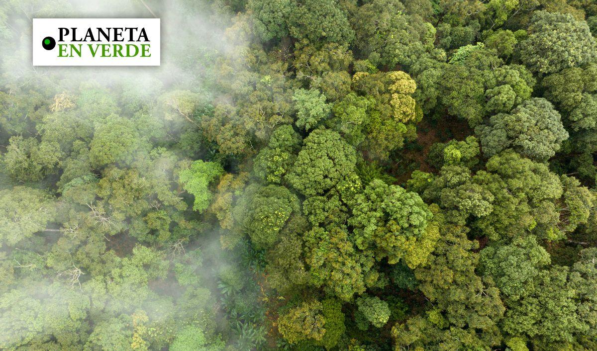 Estados Unidos apuesta por almacenar CO2 en el subsuelo