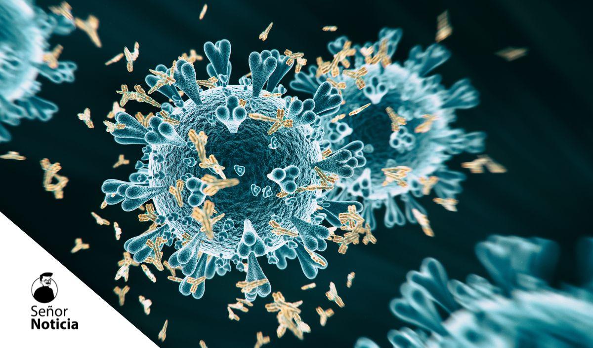 OMS sigue sin aclarar or&iacute;genes del COVID-19 y pide m&aacute;s datos a China