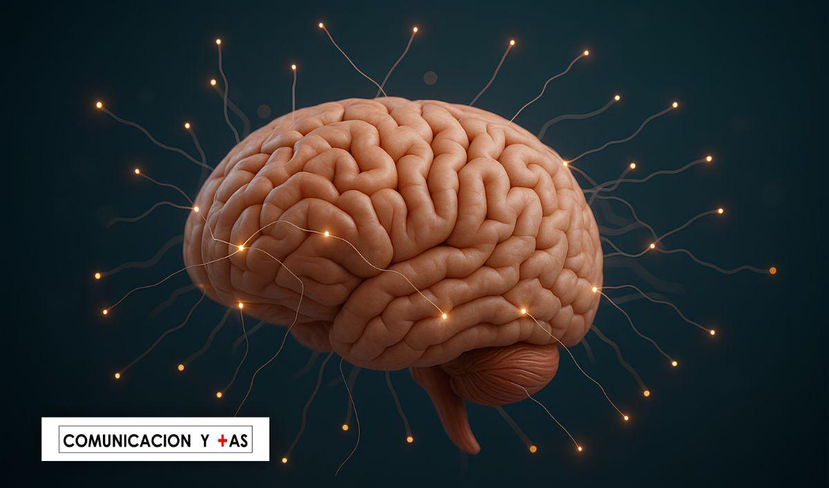 La IA est&aacute; debilitando la conectividad cerebral humana