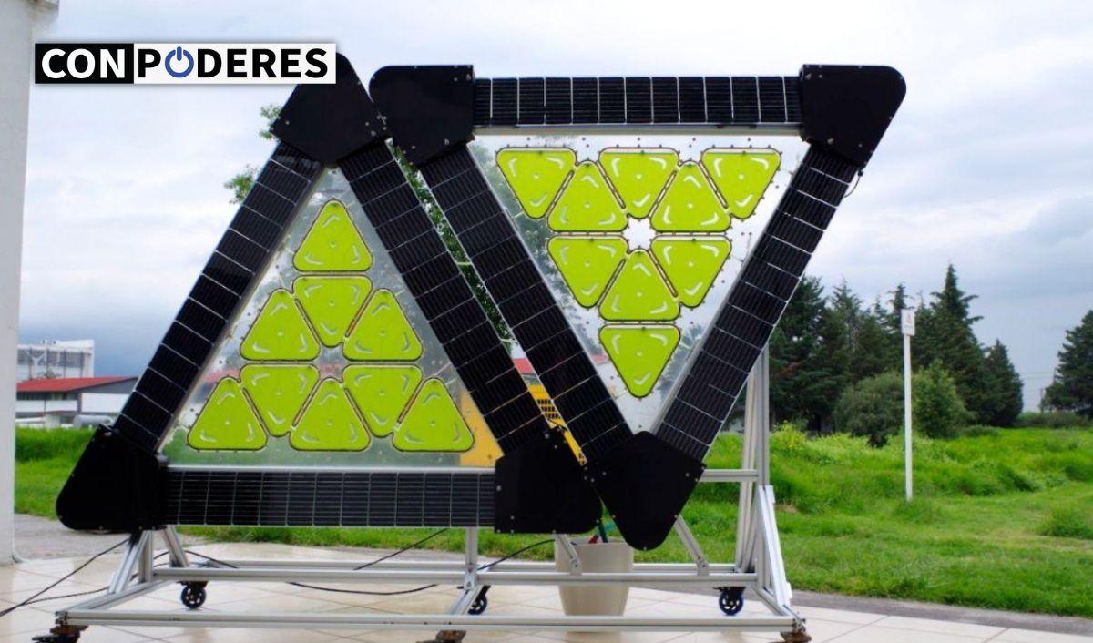 Biotecnolog&iacute;a mexicana genera energ&iacute;a con microalgas