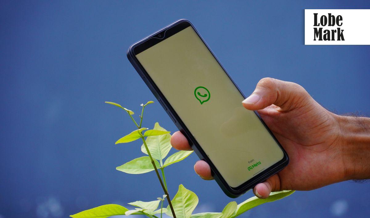 WhatsApp se abre a los anuncios: lo que las marcas deben saber