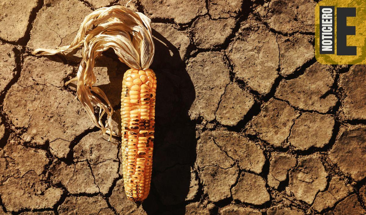 Per&uacute; registra la mayor inseguridad alimentaria de Sudam&eacute;rica