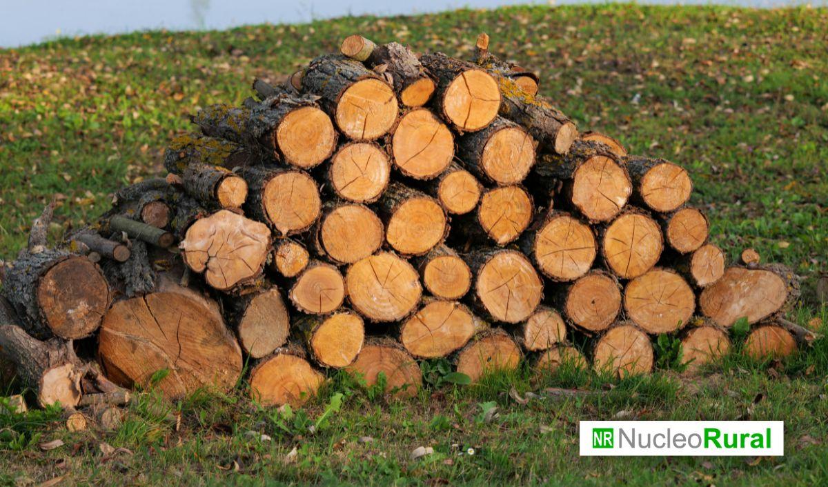 Espa&ntilde;a se adhiere a una iniciativa europea para erradicar la deforestaci&oacute;n ligada a la agricultura