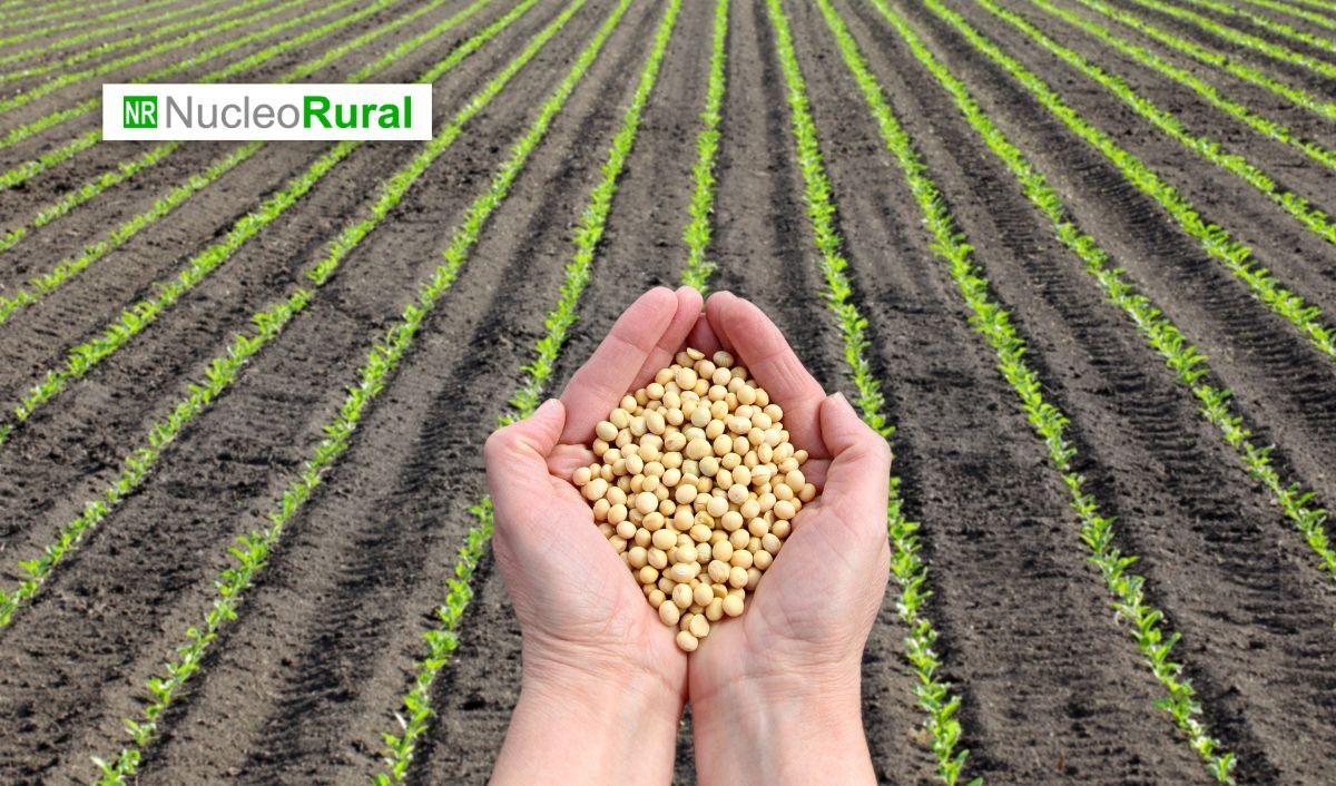 El agro indio es el eje del conflicto comercial con Estados Unidos