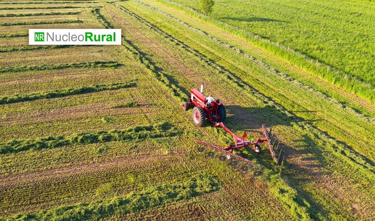 ONU declara 2026 como A&ntilde;o Internacional de la Agricultora