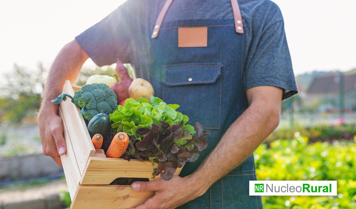 La huerta org&aacute;nica intensiva impulsa una producci&oacute;n agr&iacute;cola m&aacute;s rentable y sostenible