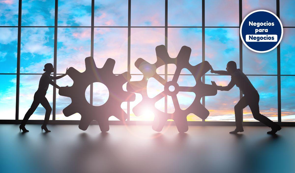 Hibernar para crecer: la estrategia que salva negocios en tiempos pol&iacute;ticos adversos