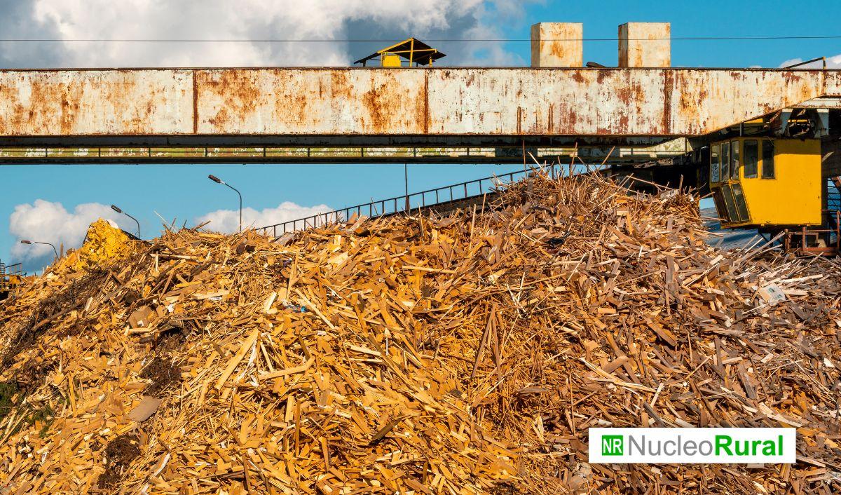 Europa impulsa la valorizaci&oacute;n de residuos agr&iacute;colas para reactivar las econom&iacute;as rurales