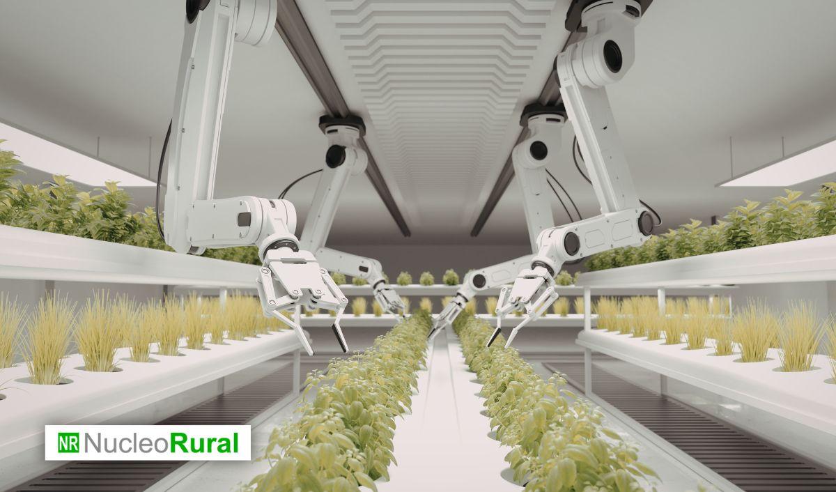 Agricultura vertical: ciudades m&aacute;s sostenibles y autosuficientes
