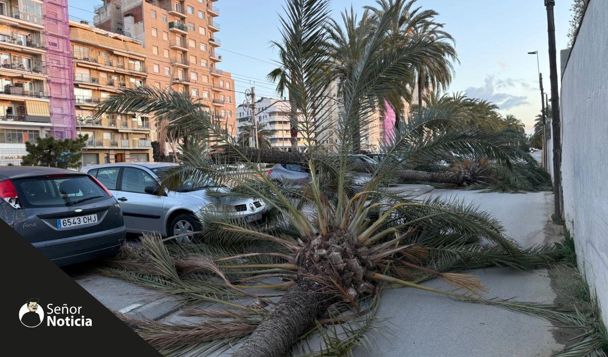 Catalu&ntilde;a registra rachas de hasta 167 km/h por el temporal de viento