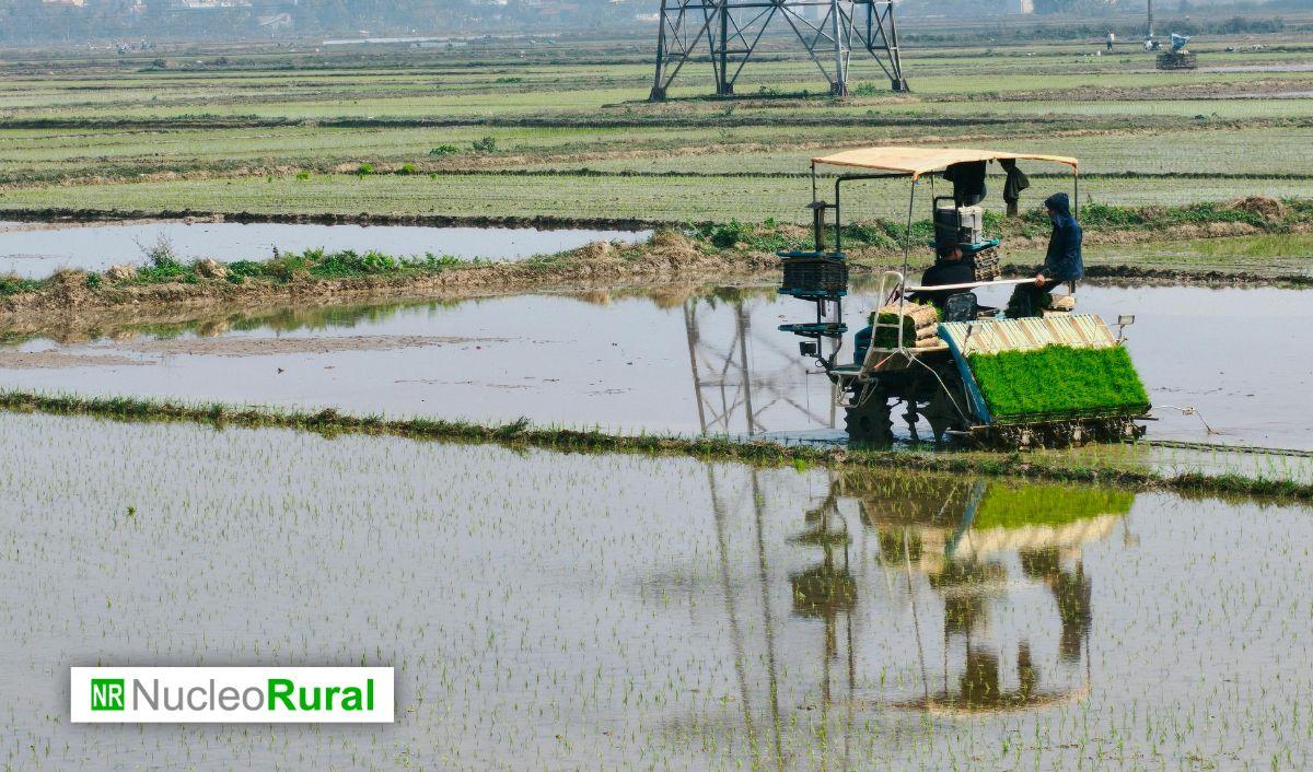 Las borrascas dejan m&aacute;s de 3.500 millones en p&eacute;rdidas en el campo andaluz
