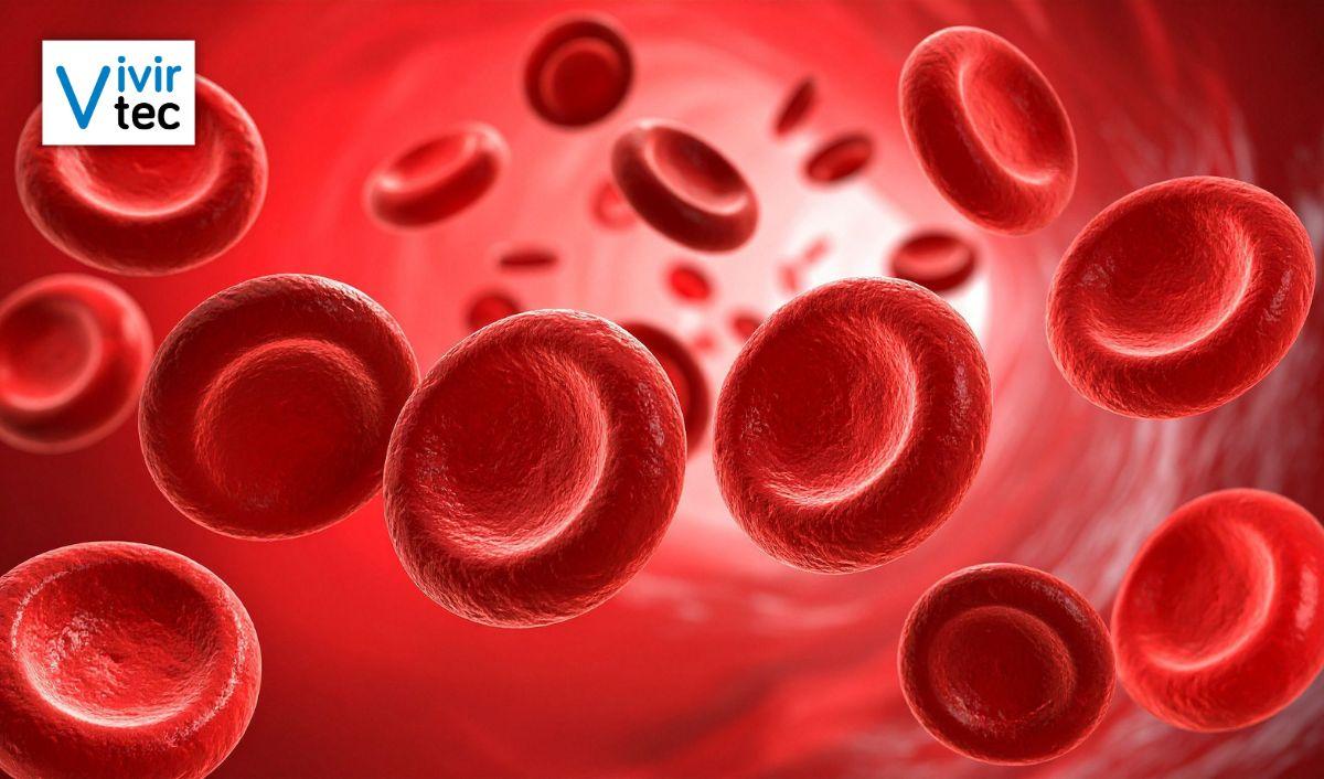 Sangre artificial y en polvo: avances m&eacute;dicos que salvar&aacute;n vidas en segundos