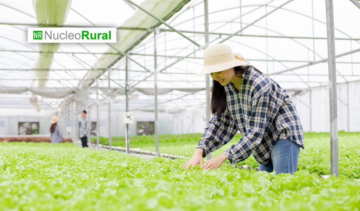 Agricultura regenerativa: los 10 criterios que ya marcan el nuevo est&aacute;ndar del campo