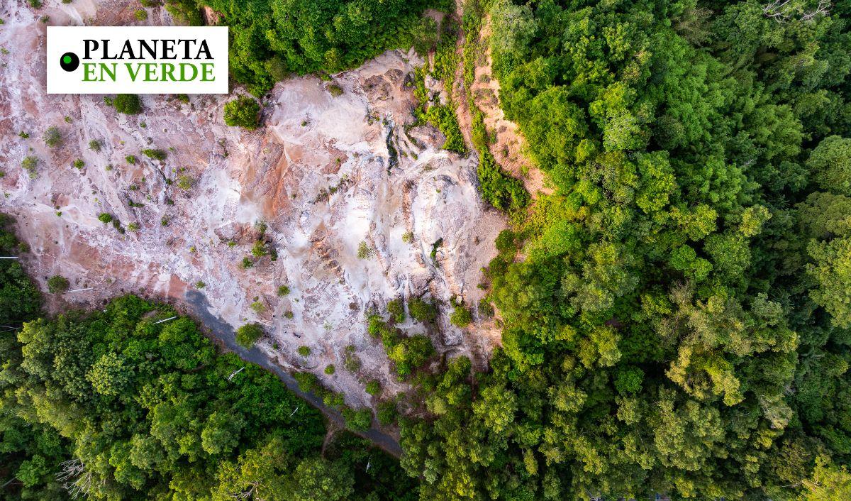 La deforestaci&oacute;n tambi&eacute;n amenaza la seguridad h&iacute;drica global advierten los cient&iacute;ficos