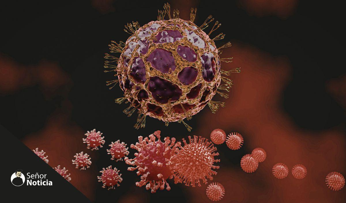 &iquest;Qu&eacute; es el hantavirus y c&oacute;mo se transmite?