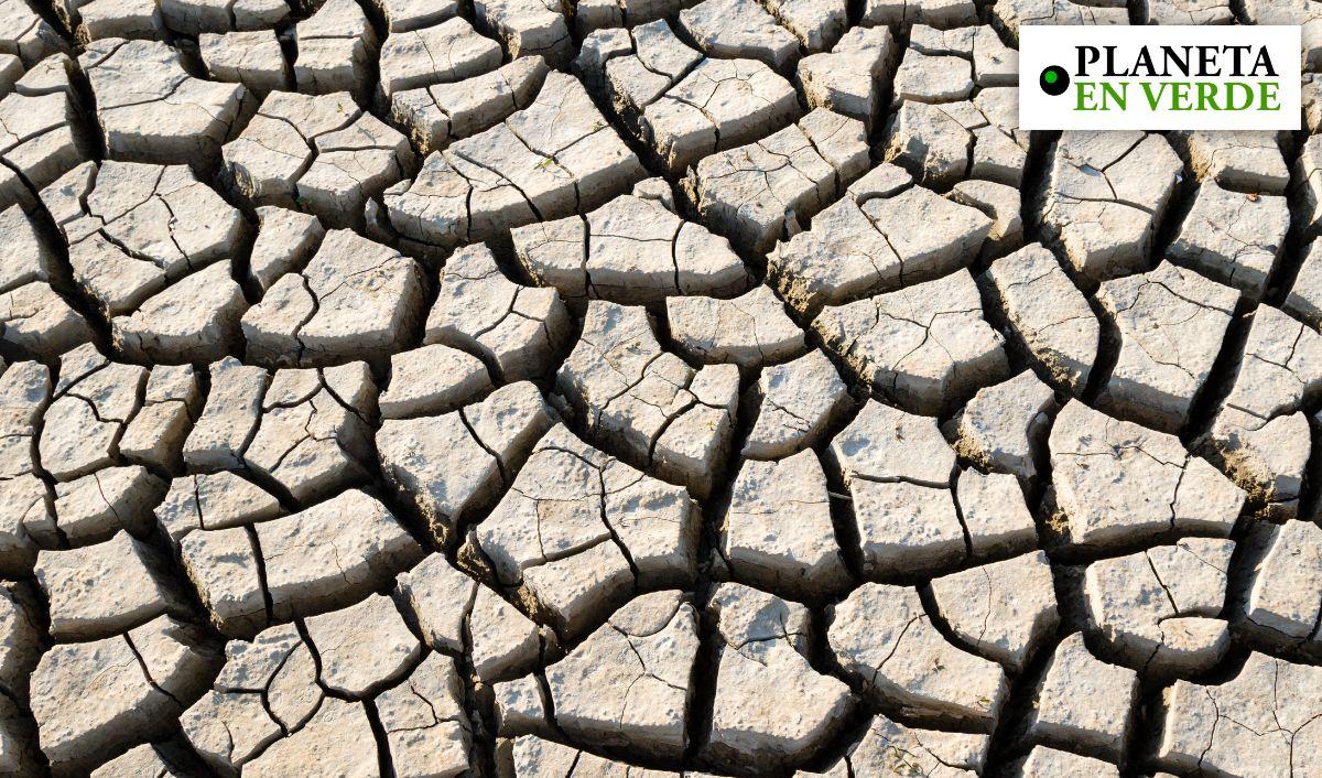Super Ni&ntilde;o: qu&eacute; es y c&oacute;mo prepararse para el fen&oacute;meno clim&aacute;tico que preocupa a Am&eacute;rica Latina