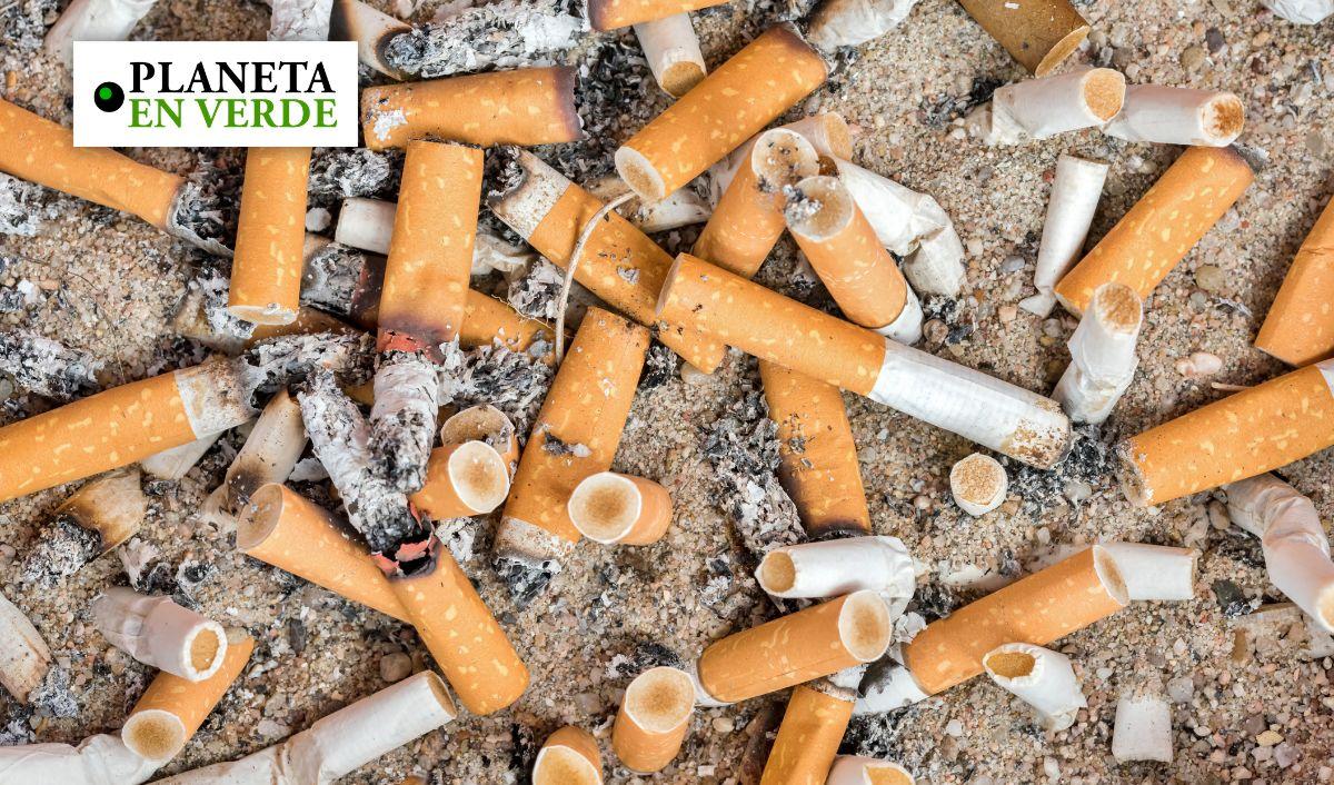 El impacto ambiental oculto detr&aacute;s de cada cigarrillo