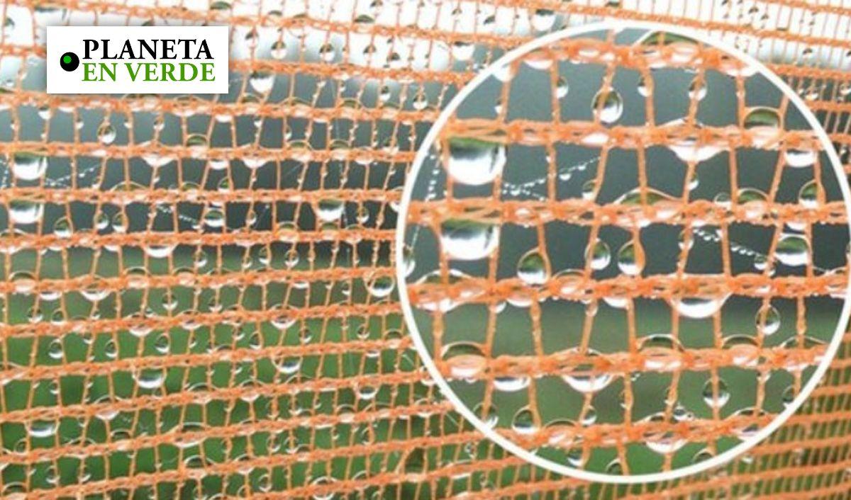 Atrapaniebla: la tecnolog&iacute;a que est&aacute; ayudando a combatir la sequ&iacute;a en el Per&uacute;