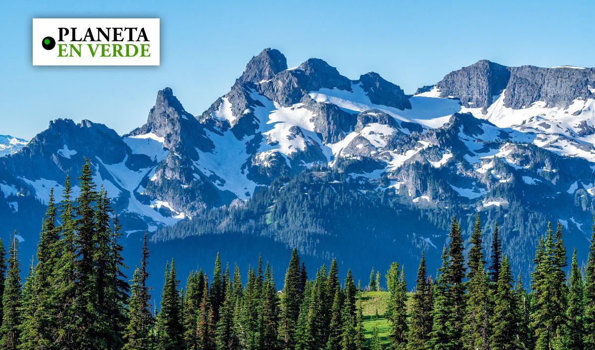 Cambio clim&aacute;tico amenaza la regeneraci&oacute;n de plantas alpinas