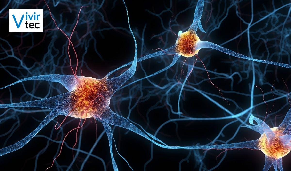Crean la primera c&eacute;lula sint&eacute;tica con ciclo de vida completo