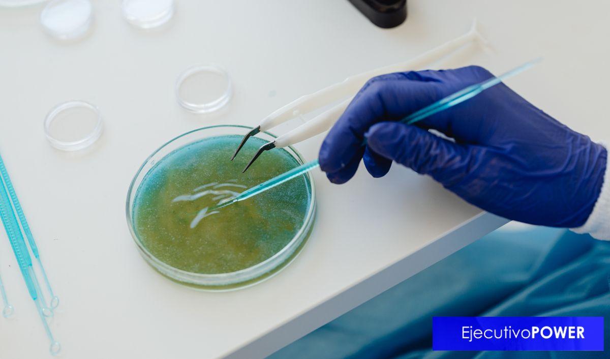 C&oacute;mo escalar una startup de biotecnolog&iacute;a sin quedar atrapada en el laboratorio