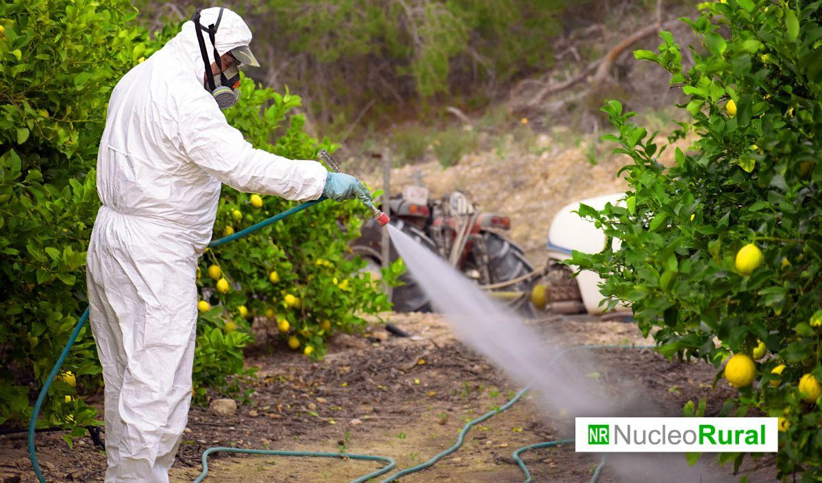 Pesticidas en Am&eacute;rica Latina: el costo invisible de la agricultura intensiva