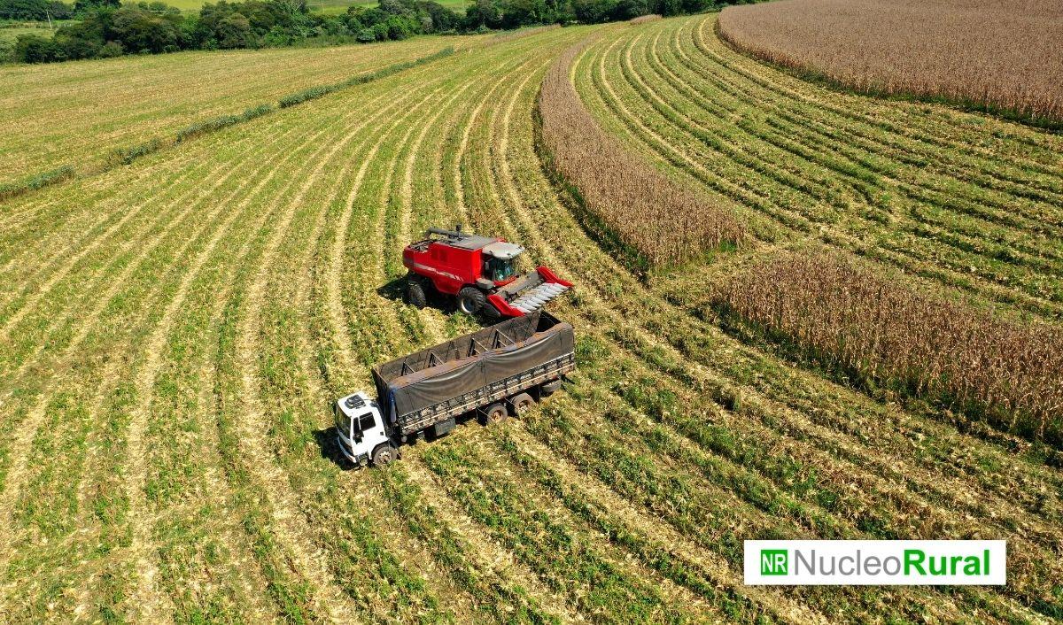 Agro 2030: el nuevo mapa econ&oacute;mico puede transformar las exportaciones de Am&eacute;rica Latina
