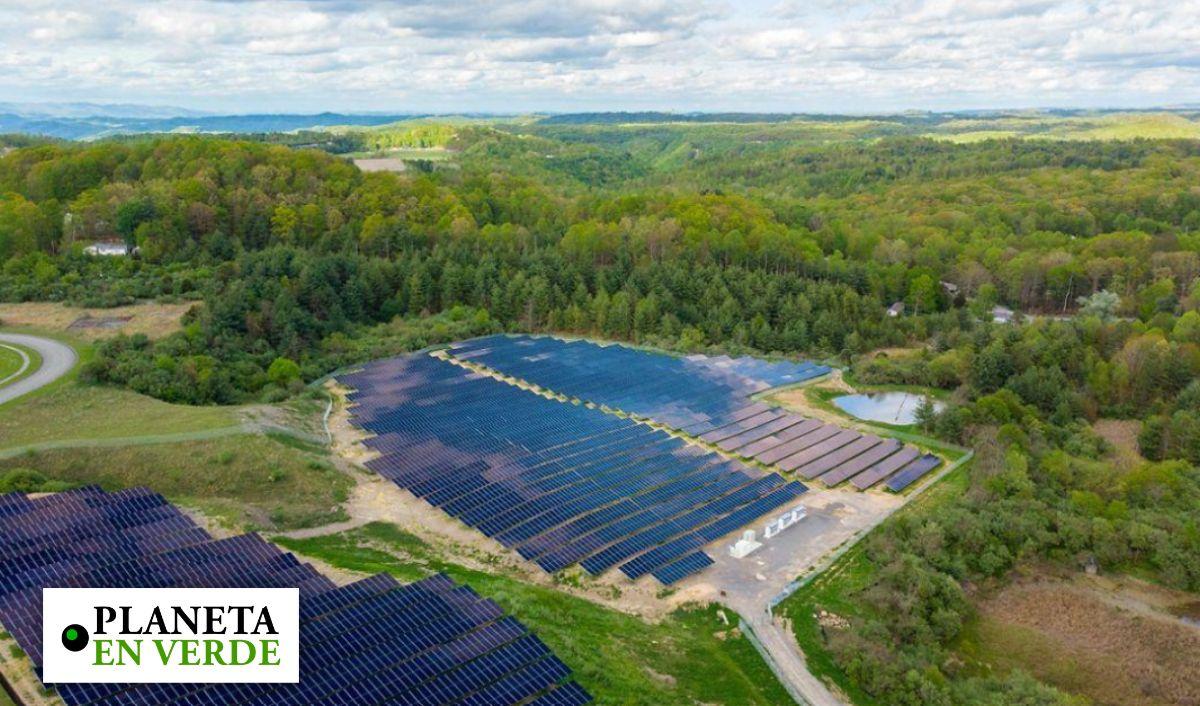 Google apuesta por una planta solar de 350 MDD