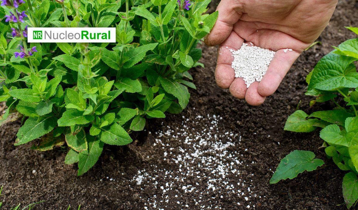 Brasil busca convertir lodos en fertilizantes agr&iacute;colas