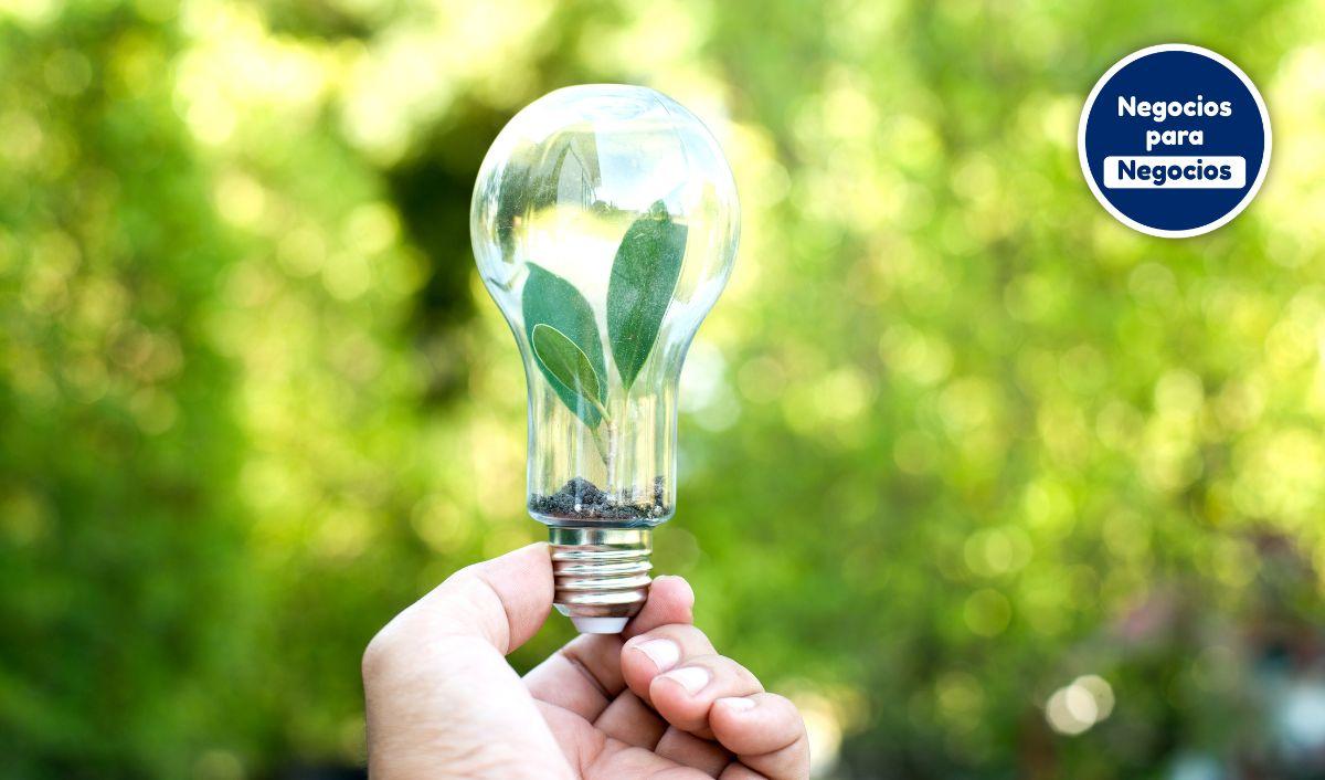 Startup mexicana busca crear la primera VPP Solar del pa&iacute;s
