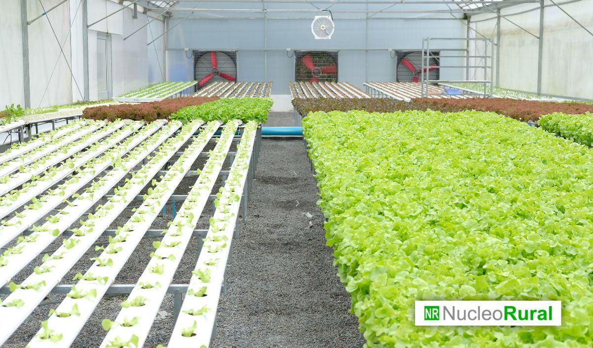 Biocontrol en Europa enfrenta cambios regulatorios: &iquest;C&oacute;mo afecta a la agricultura?