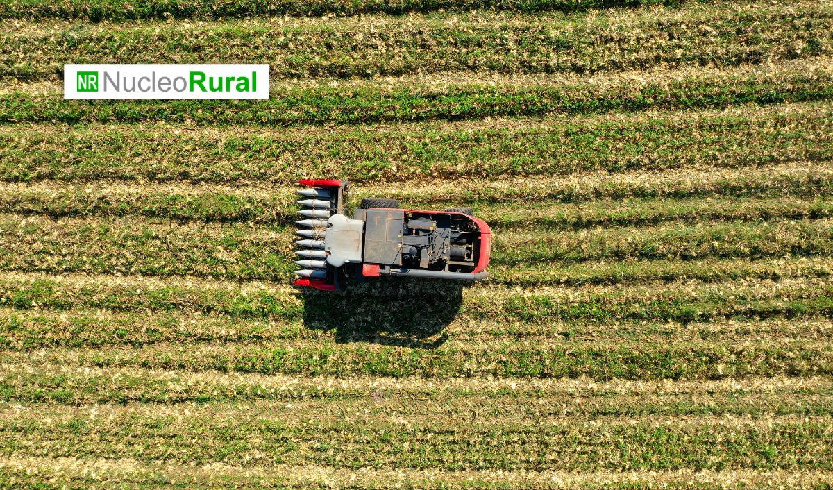 China impulsa el procesamiento agroindustrial con un plan hacia 2028