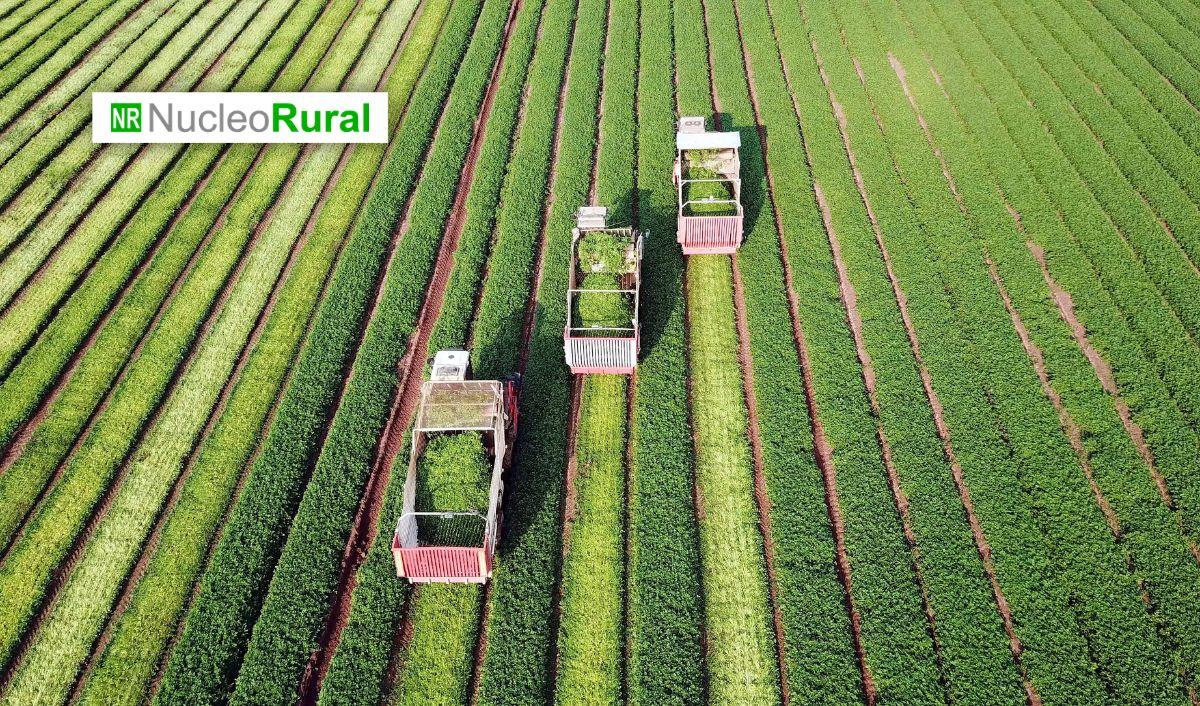 Agricultura biodin&aacute;mica: un modelo que integra suelo, cultivos y ganado