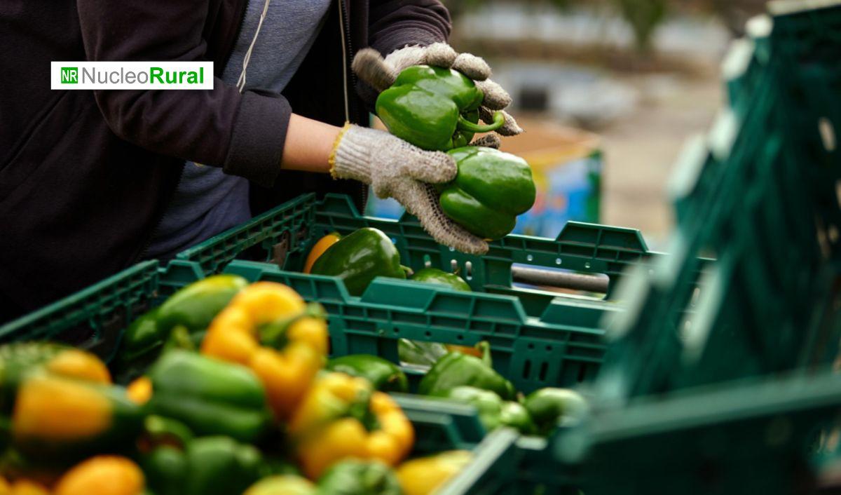 Comunicar el campo: Relaciones p&uacute;blicas y comunicaci&oacute;n en agroexportaci&oacute;n