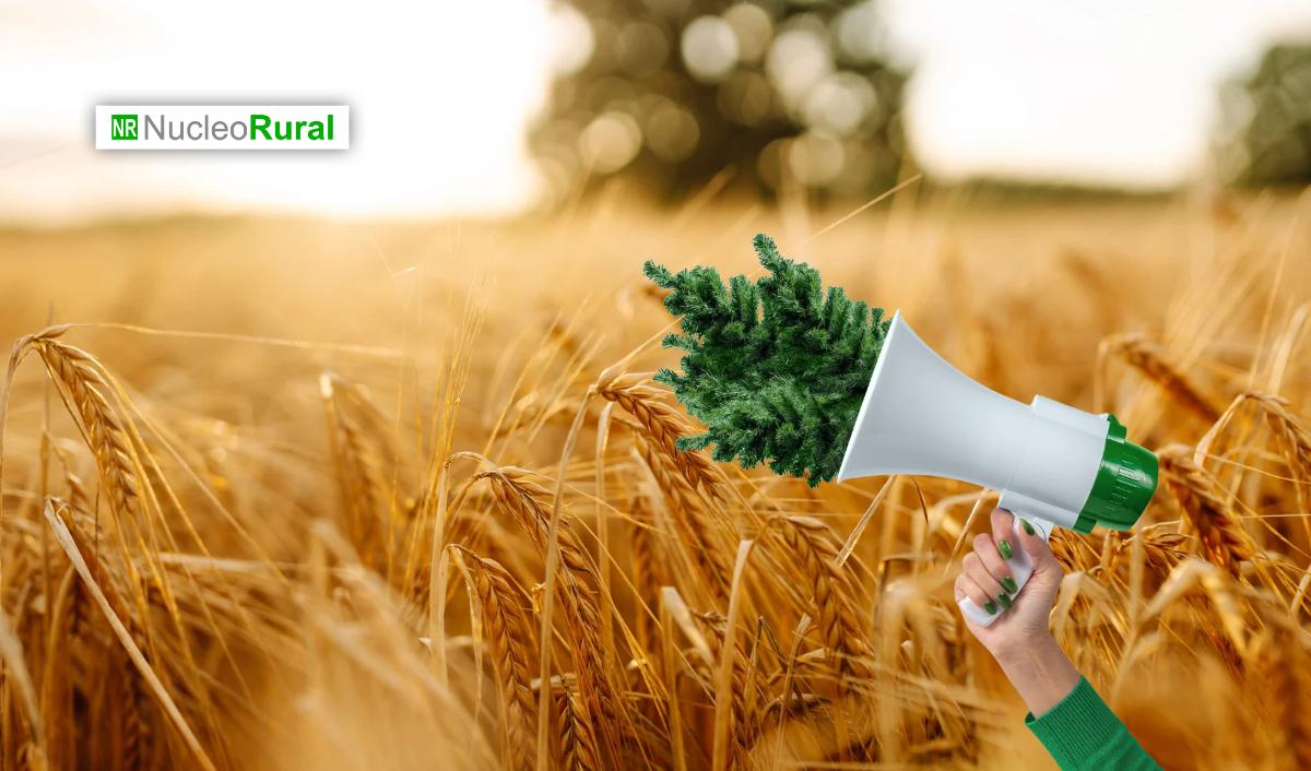Publicidad Verde: estrategias corporativas para evitar el greenwashing agr&iacute;cola