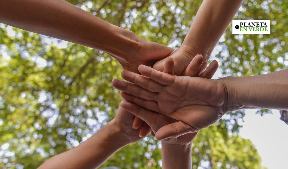 Estrategia de relaciones p&uacute;blicas para ONG y fundaciones: c&oacute;mo movilizar recursos, construir legitimidad y escalar el impacto social