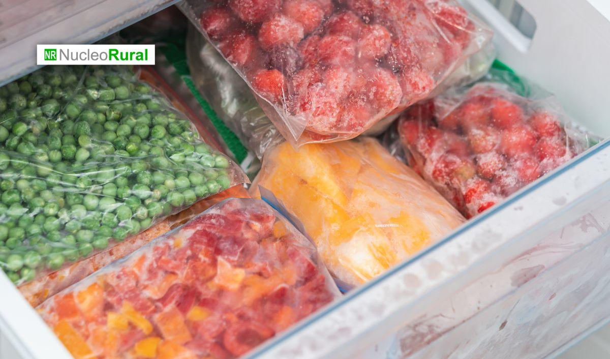 Fruta congelada chilena crece 13% y alcanza US$607 millones en exportaciones
