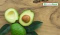 Per&uacute;: productores de Lambayeque comercializan 950 toneladas de palta Hass