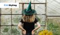 "Plantas para brujas": las especies que activan la energ&iacute;a del hogar
