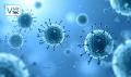 Investigadores logran dise&ntilde;ar virus funcionales en laboratorio con IA