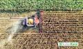 Brasil eval&uacute;a ampliar el riego agr&iacute;cola hasta 53,4 millones de hect&aacute;reas